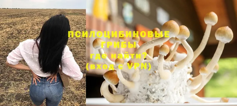 Галлюциногенные грибы GOLDEN TEACHER  Дегтярск 